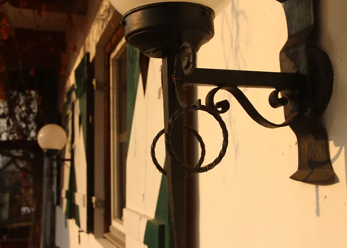 Landsitz Roemerhof - Кіцбюель